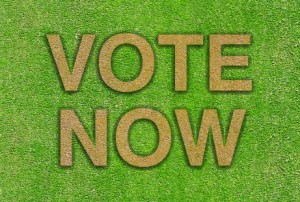 VOTING CLOSED! Semi-Permanent design Desktop’s cover competition