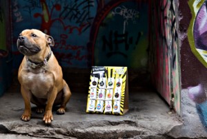 Pimp My Pooch