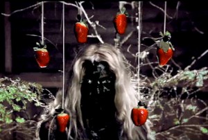 iamamiwhoami?