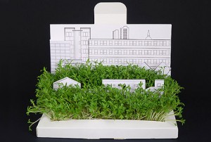 Watch it grow: Desktop’s Postcarden