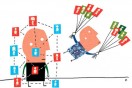 The Social (Network) Butterfly