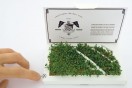 PostCarden Football