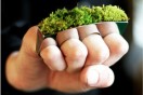 Green bling