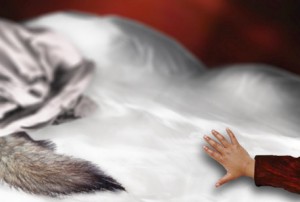 Fairy Tales Re-imagined