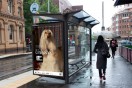 Boccalatte’s Sydney Film Festival campaign