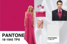 Pantone wedding iPad app