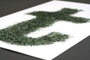 ‘T is for transformation’ at Digitalpress