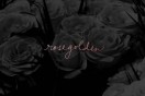 Rosegolden Posters