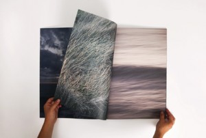 Studio profile: Naughtyfish