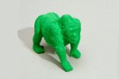 Endangered species