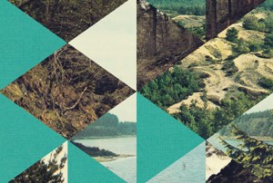 Design book reviews