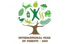 Urban Forest poster design