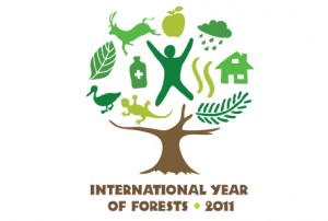 Urban Forest poster design