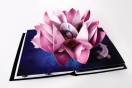 Project: The Pop-up book