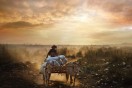 Sony Photography Awards – call for entries