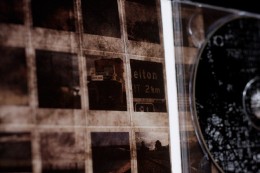 _MG_8896 _MG_8896