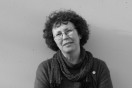 The Occupation: Bauhaus Archive Director