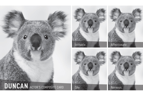 10_Feb12_Optus&Belvoir_1