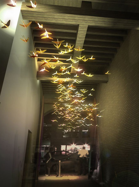 Flocking-Birds-by-Jon-Voss