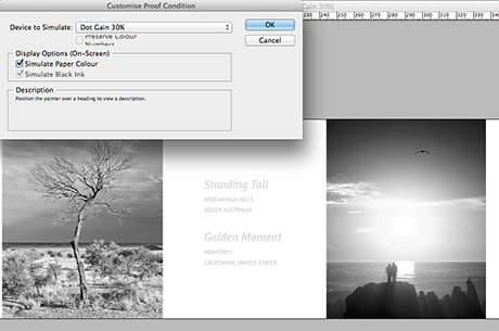 InDesign_Grey