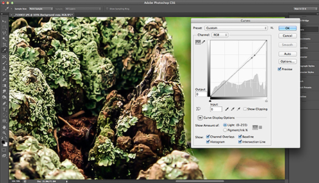Photoshop_Auto_Levels