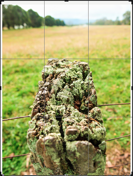 Photoshop_Crop
