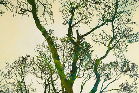 pauldavies