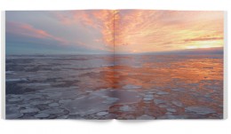 issuetwo2 issuetwo2