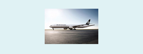 AirNZ-on-plane