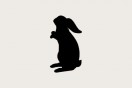 Positive Posters 2012 – brief announced