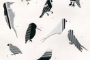‘Unlikely Avian Taxonomies’ exhibition