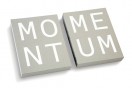 Momentum