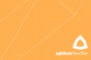 agIdeas NewStar 2013 – call for entries