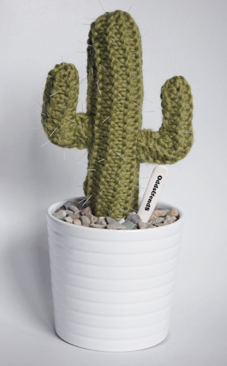full_cactus_01