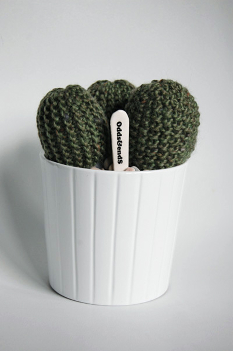 full_cactus_13