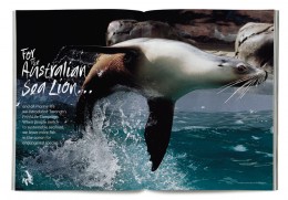 taronga4 taronga4