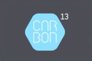 Carbon 2013