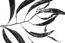 Out Now: Desktop #292 — Who Are You?