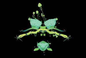 Profile – Greenpeace studio