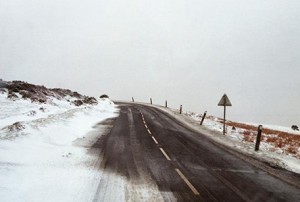New Arcadia: Contemporary Australian Photography