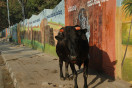 Officially Sanctioned Street Art On The Thoroughfares Of Bangalore