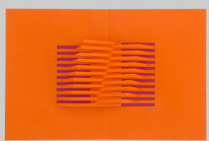 NOVUK: Light and Shadow in Paper Sculptures