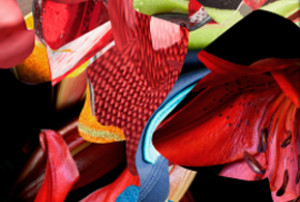 Digital Art’s Debut With Art Collectors, In First Major Auction