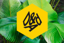 D&AD Awards: Change The World With Al Gore
