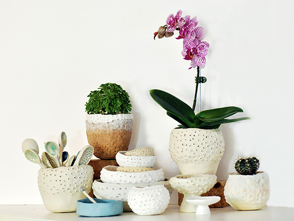 Orchid and Pots KW