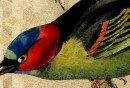 arteco_2