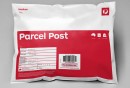 Satchel_Medium_Parcel3