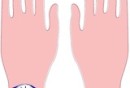 hands
