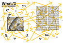 LisaRost_BloombergBusinessweek_Documentation5