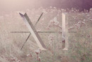Celestine11_01